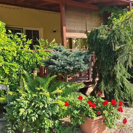 Apartament Malinowa Dolina 克沃兹科 外观 照片