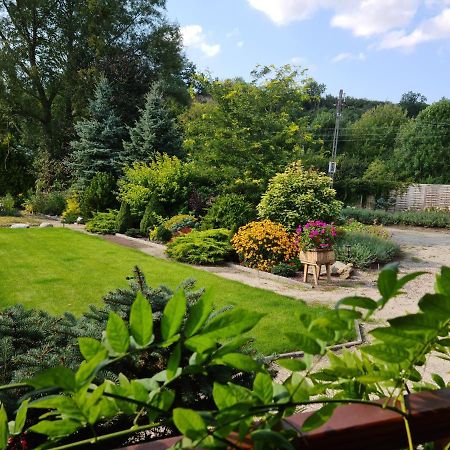 Apartament Malinowa Dolina 克沃兹科 外观 照片