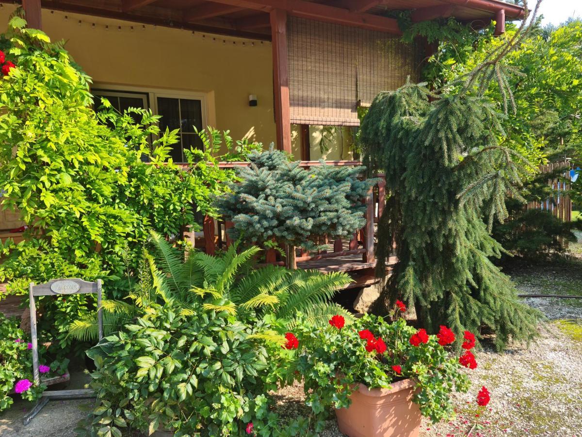 Apartament Malinowa Dolina 克沃兹科 外观 照片