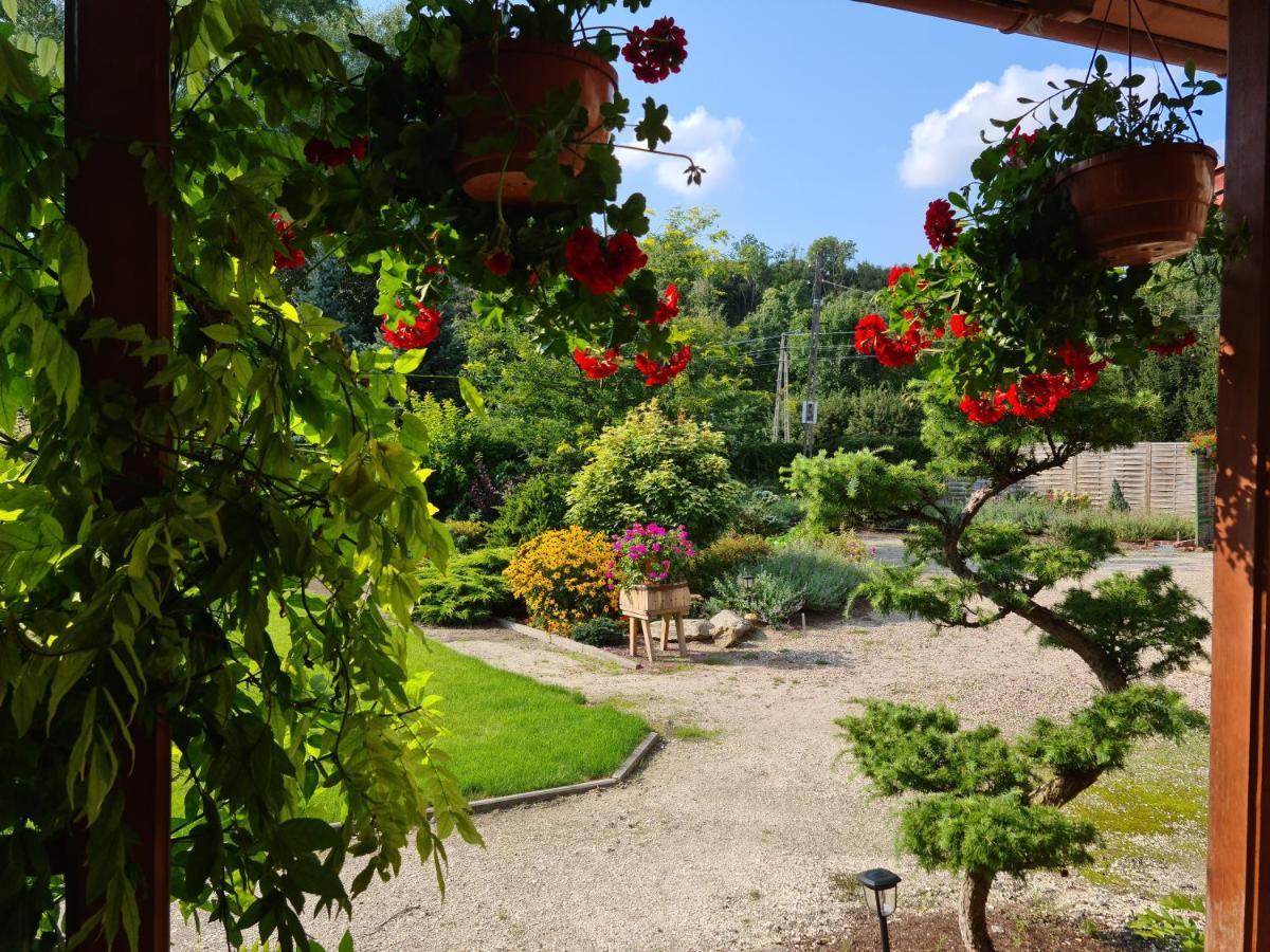 Apartament Malinowa Dolina 克沃兹科 外观 照片