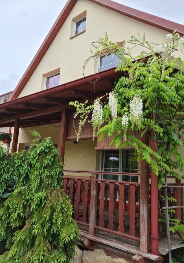 Apartament Malinowa Dolina 克沃兹科 外观 照片